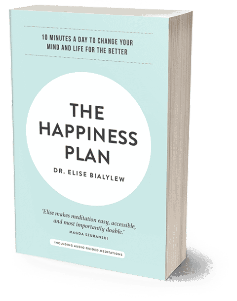 The-Happiness-Plan-Elise-Bialylew-Book-4-480x609