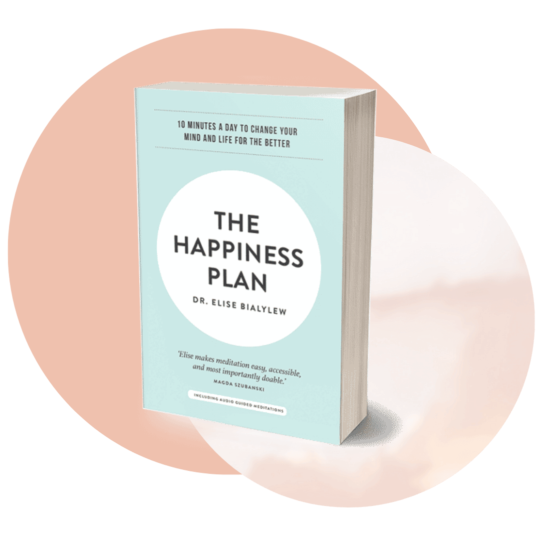 The Happiness Plan (1) (1)